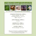 Livestream Schedule of Holy Week and Easter Services
